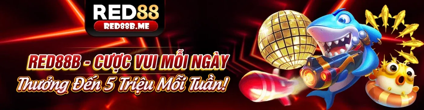 Tổng quan về cá cược thể thao tại Singbet