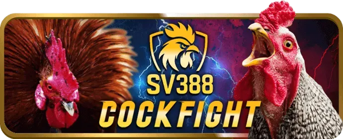 Cấp độ VIP Bạc Singbet